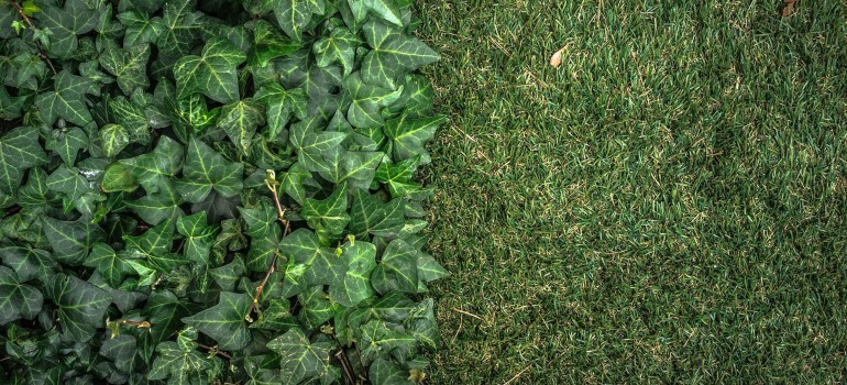 Artificial grass.