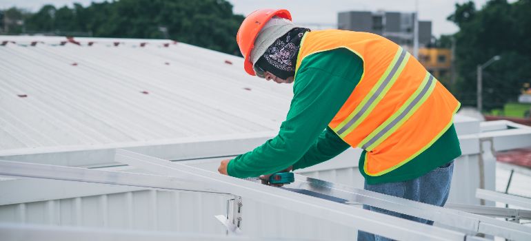 bird control expert installing deterrents