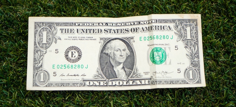 A one dollar banknote on lying on the grass.