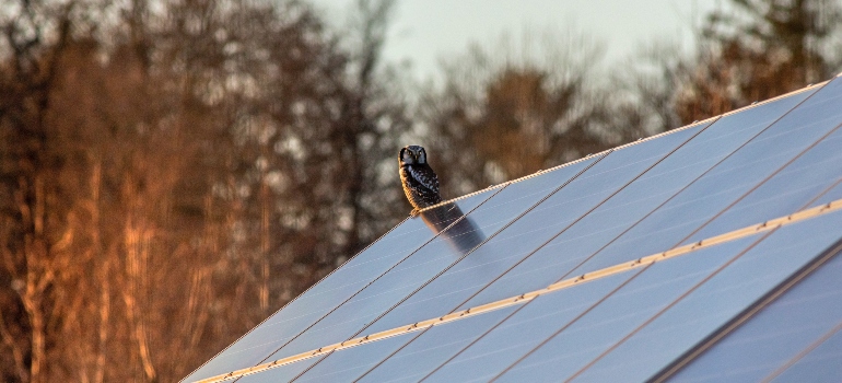 solar panel roof