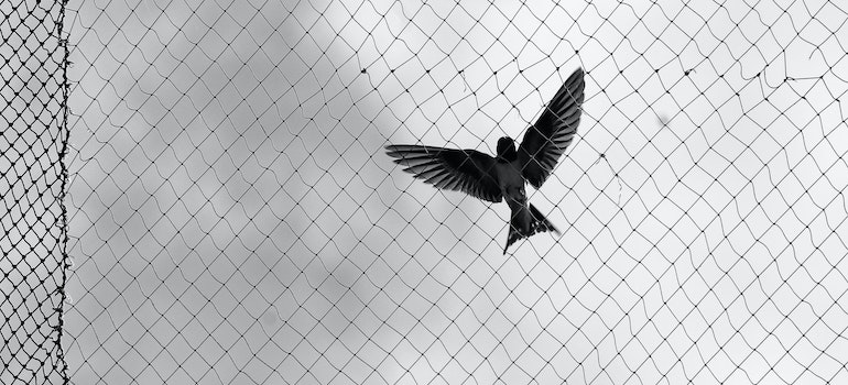 Bird netting as a symbol of bird control for retail stores in Nevada