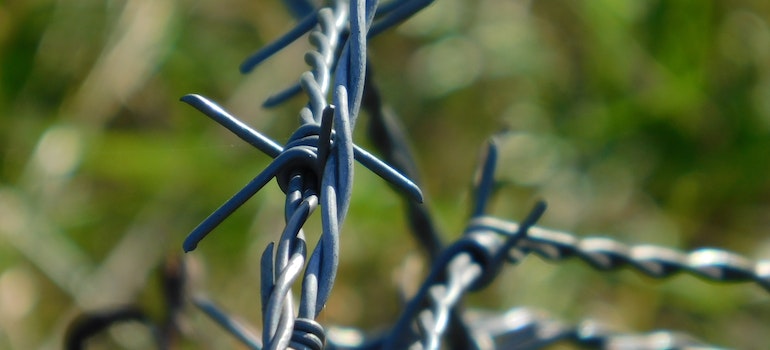Wires in the garden as a way to preform bird control for urban gardens
