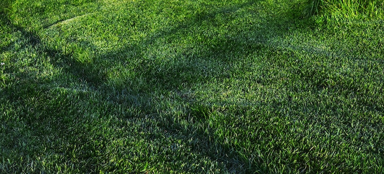 view of the grass you will get after Combining natural grass with artificial turf
