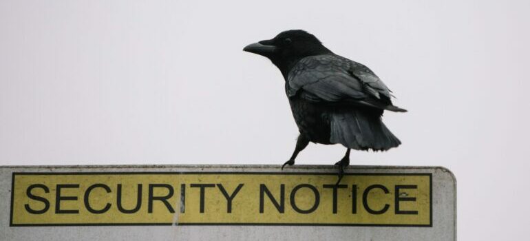 Bird standing on top of a sign