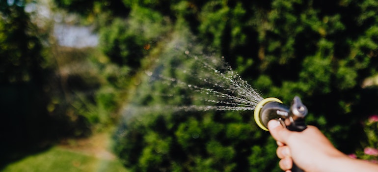 A person watering a garden
