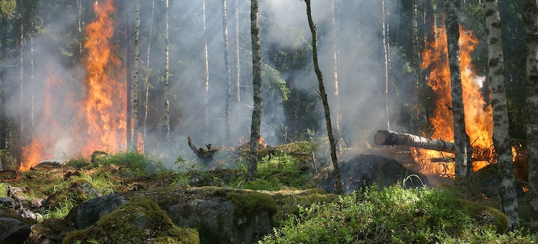 A wildfire as it can why the insurance company will cancel a homeowners policy